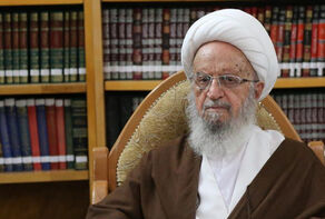 آیت‌الله مکارم شیرازی: معامله، سرمایه گذاری و درآمد حاصل از بازی همستر «جایز نیست»