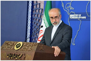 کنعانی: سازمان‌های بین المللی در حفاظت از صلح ناتوان‌اند + فیلم
