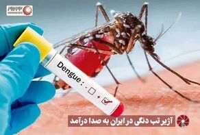 نور ویدئو | آژیر تب دنگی در ایران به صدا درآمد +فیلم