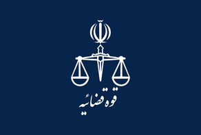 القضاء يعلن تشكيل مجمع قضائي خاص لمتابعة الدعاوى القضائية الدولية