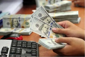 24 میلیارد دلار ارز واردات تامین شد