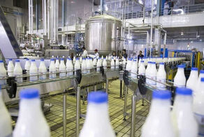 Иран занимает 17% рынка молочных продуктов в Азии