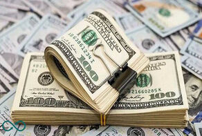 هشدار به خریداران ارز / قیمت دلار کاهشی می‌شود