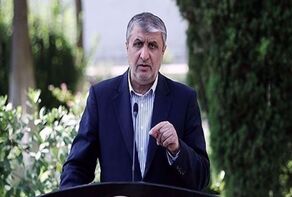 Iran nuclear chief urges IAEA to uphold impartiality, refrain from provocations