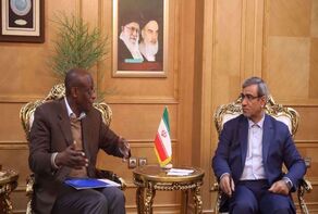 Iran should be introduced as role model in hosting refugees: UNHCR official