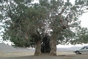 Iran Overview (2)