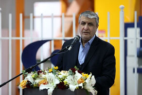 AEOI head slams IAEA approaches towards Iran nuclear plan