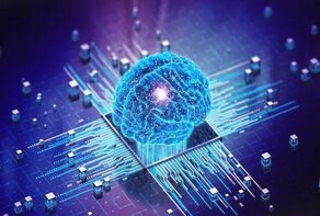 Iran ranks 4th in 2025 international IQ test
