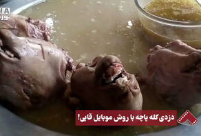 نورنما | دزدی کله پاچه با روش موبایل قاپی!