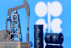 Iran’s oil export revenues up 14% to nearly $47bn in 2024: OPEC
