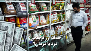 اقتصادنگار | حذف ارز ترجیحی درد یا درمان؟