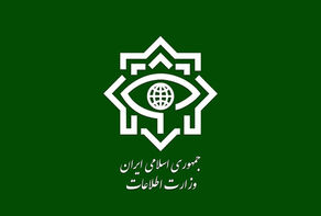 بازداشت عامل اصلی هتک حرمت به امامزاده سبزقبا