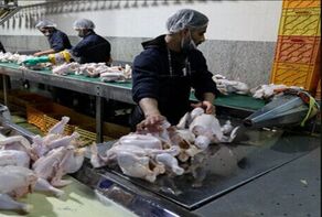 حذف ناگهانی ارز ترجیحی درمان یا شوک ناگهانی به تولید؟
