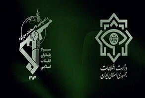 حرس الثورة الاسلامية: إلقاء القبض علي 154 من قادة أعمال الشغب في محافظة فارس