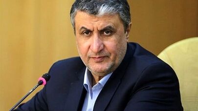 IAEA has conducted inspection on undamaged sites only: Eslami