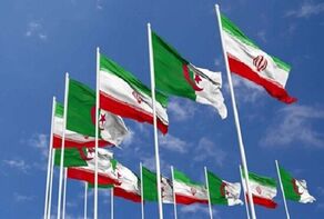 Iran’s trade with Africa up 23% in 8 months: official