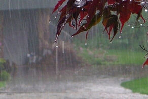 رشد 81 درصدی بارش‌ها تا 5 بهمن‌ماه