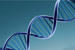 اوریگامی DNA، کلید نظم‌بخشی مولکولی در نیمه‌رساناهای دوبعدی