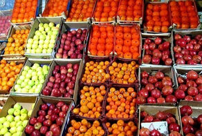 قیمت عمده‌ میوه و سبزیجات اعلام شد