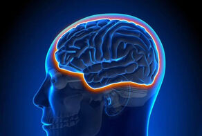 چرا ورزشکاران آلزایمر نمی‌گیرند؟