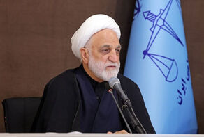 محسنی اژه‌ای: برای مدعیان حقوق بشر متاسفیم