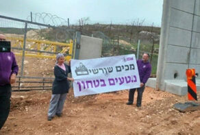 תנועת ההתיישבות 