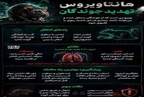 نوراینفو | راه های انتقال ویروس مرگبار هانتاویروس و نحوه پیشگیری از آن