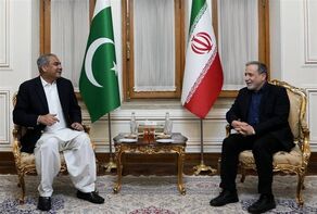 Araghchi, Naqvi discuss proposals to resolve Iran-US disputes
