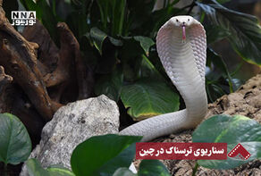 نورنما | سناریوی ترسناک در چین