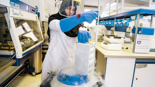 Royan ranks world's top 10 inst. in male infertility research