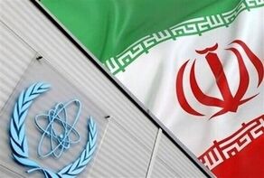 Iran criticizes IAEA on safeguards, urges to abide by Statute