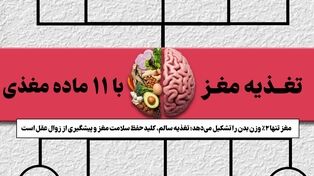 نوراینفو | تغذیه مغز با 11 ماده غذایی