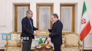Pakistan’s Interior Minister leaves for Tehran for talks with Iranian officials