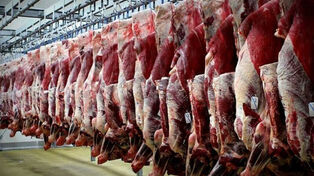 آخرین قیمت گوشت قرمز شنبه 21 شهریور ؛ جدول قیمت گوشت گوسفندی و گوساله