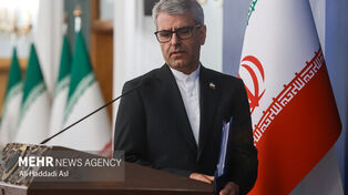 Lamerd symbol of resistance after US aggression: Iran FM spox