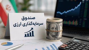 صندوق ارزی جای دلار فیزیکی را می‌گیرد؟ نگاهی به نسخه جدید وزیر اقتصاد برای کنترل بازار ارز