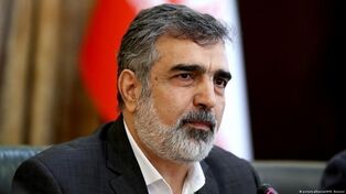 Камальванди: Агентство и государства его члены должны противостоять американскому запугиванию