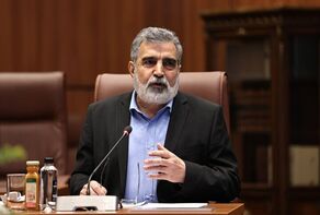 Iran has strong resolve, ample options to defend itself