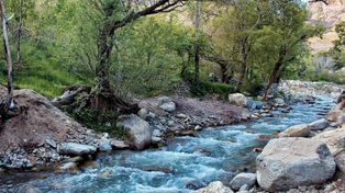 کاهش 55 درصدی آب رودخانه‌های اردبیل
