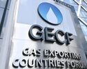 Iran’s active participation in GECF in line with strengthening multilateralism: Ambassador