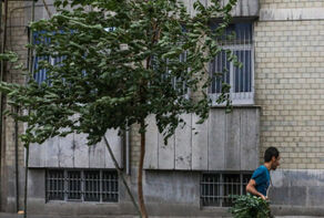 باد بسیار شدید در راه تهران؛ کدام مناطق بیشتر درگیر می‌شوند؟