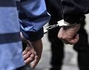 کلاهبرداری با سکه‌های تقلبی در خوانسار؛ کشف ۴۴ سکه و ابزار جعل در اصفهان