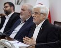 هشدار عارف درباره هزینه انرژی پرمصرف‌ها