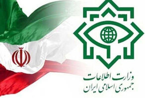 شبکه اخلالگر ارز منهدم شد
