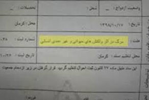 اصلاح علت فوت جانباختگان حادثه کرمان در ثبت احوال