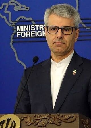 Багаи: Молчание Европы по поводу санкций США против МУС — это нападение на закон и правосудие