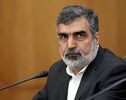 Представитель ОАЭИ: Иран отстоит национальные интересы дипломатией или силой