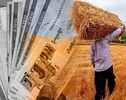آخرین وضعیت پرداخت پول گندمکاران؛ اعلام زمان تسویه مطالبات کشاورزان