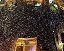 Тысячи человек вышли на протест против Нетаньяху в преддверии выборов в Израиле