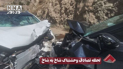 نورنما | لحظه تصادف وحشتناک شاخ به شاخ